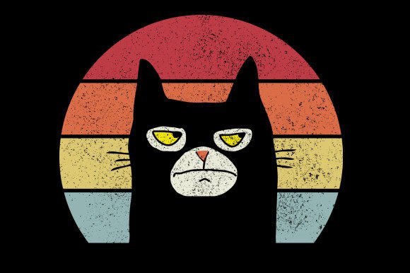 Black Cat Vintage Review