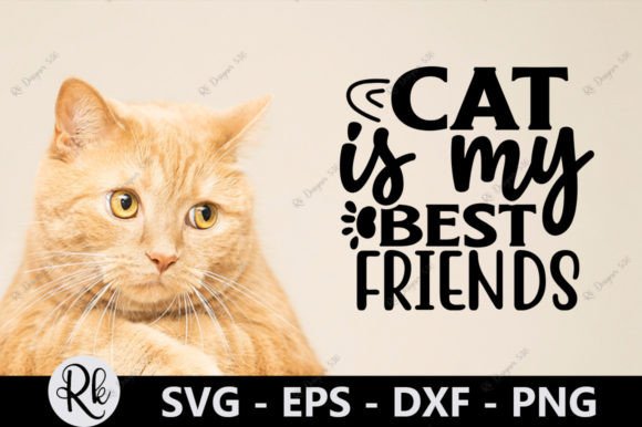 Cat is My Best Friends